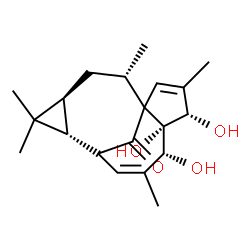 ChemSpider 2D Image | (4S,5S,6R,9S,10R,12S,14S)-4,5,6-Trihydroxy-3,7,11,11,14-pentamethyltetracyclo[7.5.1.0~1,5~.0~10,12~]pentadeca-2,7-dien-15-one | C20H28O4
