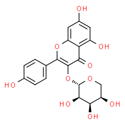 ChemSpider 2D Image | 5,7-Dihydroxy-2-(4-hydroxyphenyl)-4-oxo-4H-chromen-3-yl beta-D-ribopyranoside | C20H18O10