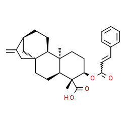 ChemSpider 2D Image | (3alpha,5beta,9beta)-3-{[(2E)-3-Phenyl-2-propenoyl]oxy}kaur-16-en-19-oic acid | C29H36O4