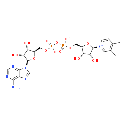 ChemSpider 2D Image | [[(2R,3S,4R,5R)-5-(6-aminopurin-9-yl)-3,4-dihydroxy-tetrahydrofuran-2-yl]methoxy-hydroxy-phosphoryl] [(2R,3S,4R,5R)-5-(3,4-dimethylpyridin-1-ium-1-yl)-3,4-dihydroxy-tetrahydrofuran-2-yl]methyl phosphate | C22H30N6O13P2