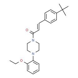 ChemSpider 2D Image | (2E)-1-[4-(2-Ethoxyphenyl)-1-piperazinyl]-3-[4-(2-methyl-2-propanyl)phenyl]-2-propen-1-one | C25H32N2O2