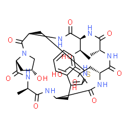 ChemSpider 2D Image | (1R,14S,18R,20R,23R,28R,31R,34S)-28-(2,3-Dihydroxy-2-methylpropyl)-18-hydroxy-34-[(1R)-1-hydroxyethyl]-23,31-dimethyl-12-thia-10,16,22,25,27,30,33,36-octaazapentacyclo[12.11.11.0~3,11~.0~4,9~.0~16,20~
]hexatriaconta-3(11),4,6,8-tetraene-15,21,24,26,29,32,35-heptone | C35H48N8O11S