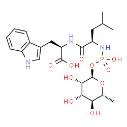 ChemSpider 2D Image | (2R)-2-({(2R)-2-[(Hydroxy{[(2R,3S,4S,5S,6R)-3,4,5-trihydroxy-6-methyltetrahydro-2H-pyran-2-yl]oxy}phosphoryl)amino]-4-methylpentanoyl}amino)-3-(1H-indol-3-yl)propanoic acid (non-preferred name) | C23H34N3O10P
