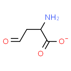 ChemSpider 2D Image | 2-Amino-4-oxobutanoate | C4H6NO3