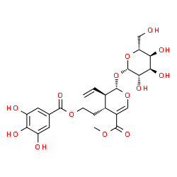 ChemSpider 2D Image | Methyl (2S,3R,4R)-2-(beta-D-altropyranosyloxy)-4-{2-[(3,4,5-trihydroxybenzoyl)oxy]ethyl}-3-vinyl-3,4-dihydro-2H-pyran-5-carboxylate | C24H30O14