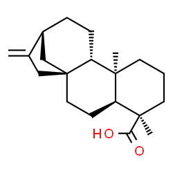 ChemSpider 2D Image | (5beta,13alpha)-Kaur-16-en-18-oic acid | C20H30O2