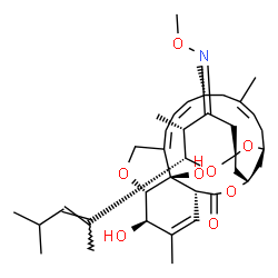 ChemSpider 2D Image | (1'R,2S,4Z,4'S,5R,6S,8'S,10'Z,13'R,14'Z,16'Z,20'S,21'R,24'R)-21',24'-Dihydroxy-4-(methoxyimino)-5,11',13',22'-tetramethyl-6-[(2E)-4-methyl-2-penten-2-yl]-3,4,5,6-tetrahydro-2'H-spiro[pyran-2,6'-[3,7,1
9]trioxatetracyclo[15.6.1.1~4,8~.0~20,24~]pentacosa[10,14,16,22]tetraen]-2'-one | C37H53NO8