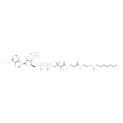 ChemSpider 2D Image | S-{1-[(2R,3S,4R,5R)-5-(6-Amino-9H-purin-9-yl)-4-hydroxy-3-(phosphonooxy)tetrahydro-2-furanyl]-3,5,9-trihydroxy-8,8-dimethyl-3,5-dioxido-10,14-dioxo-2,4,6-trioxa-11,15-diaza-3lambda~5~,5lambda~5~-dipho
sphaheptadecan-17-yl} (1-~14~C)octanethioate (non-preferred name) | C2814CH50N7O17P3S