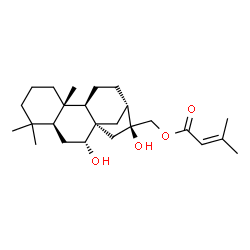 ChemSpider 2D Image | (7alpha)-7,16-Dihydroxykauran-17-yl 3-methyl-2-butenoate | C25H40O4