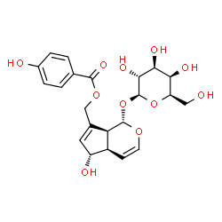ChemSpider 2D Image | [(1S,4aR,5S,7aS)-1-(beta-D-Galactopyranosyloxy)-5-hydroxy-1,4a,5,7a-tetrahydrocyclopenta[c]pyran-7-yl]methyl 4-hydroxybenzoate | C22H26O11