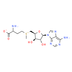 ChemSpider 2D Image | 2-Amino-4-[{[(2S,3R,4R,5R)-5-(6-amino-9H-purin-9-yl)-3,4-dihydroxytetrahydro-2-furanyl]methyl}(methyl)sulfonio]butanoate (non-preferred name) | C15H22N6O5S