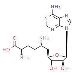 ChemSpider 2D Image | (5S)-5-Amino-6-[(2R,4S,5R)-5-(6-amino-9H-purin-9-yl)-3,4-dihydroxytetrahydro-2-furanyl]-L-norleucine | C15H23N7O5