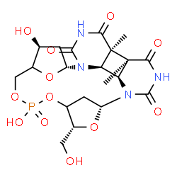 ChemSpider 2D Image | (1R,6S,7S,8R,9R,14R,16R,23S)-19,23-Dihydroxy-16-(hydroxymethyl)-6,9-dimethyl-15,18,20,25-tetraoxa-2,4,11,13-tetraaza-19-phosphahexacyclo[20.2.1.1~14,17~.0~2,7~.0~6,9~.0~8,13~]hexacosane-3,5,10,12-tetr
one 19-oxide | C20H27N4O12P