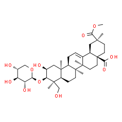 ChemSpider 2D Image | (2beta,3beta,8alpha,10alpha,18alpha)-2,24-Dihydroxy-30-methoxy-30-oxo-3-(beta-D-xylopyranosyloxy)olean-12-en-28-oic acid | C36H56O11
