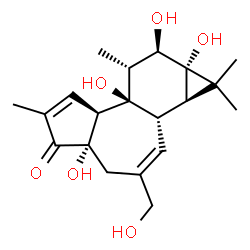 ChemSpider 2D Image | (1aR,1bS,4aS,7aS,7bR,8R,9R,9aS)-4a,7b,9,9a-Tetrahydroxy-3-(hydroxymethyl)-1,1,6,8-tetramethyl-1,1a,1b,4,4a,7a,7b,8,9,9a-decahydro-5H-cyclopropa[3,4]benzo[1,2-e]azulen-5-one | C20H28O6