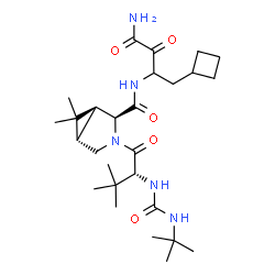 ChemSpider 2D Image | (1S,2S,5S)-N-(4-Amino-1-cyclobutyl-3,4-dioxo-2-butanyl)-6,6-dimethyl-3-{3-methyl-N-[(2-methyl-2-propanyl)carbamoyl]-D-valyl}-3-azabicyclo[3.1.0]hexane-2-carboxamide | C27H45N5O5
