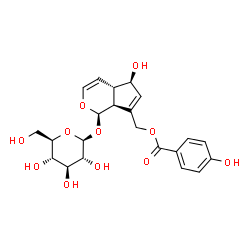 ChemSpider 2D Image | [(1R,4aS,5R,7aS)-1-(beta-D-Glucopyranosyloxy)-5-hydroxy-1,4a,5,7a-tetrahydrocyclopenta[c]pyran-7-yl]methyl 4-hydroxybenzoate | C22H26O11