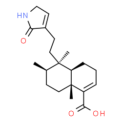ChemSpider 2D Image | (4aR,5R,6R,8aR)-5,6,8a-Trimethyl-5-[2-(2-oxo-2,5-dihydro-1H-pyrrol-3-yl)ethyl]-3,4,4a,5,6,7,8,8a-octahydro-1-naphthalenecarboxylic acid | C20H29NO3