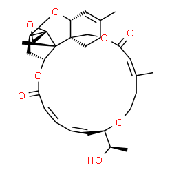 ChemSpider 2D Image | (1'R,2S,3'R,8'R,12'Z,17'R,18'Z,20'Z,24'R,25'R)-17'-[(1R)-1-Hydroxyethyl]-5',13',25'-trimethyl-11'H,22'H-spiro[oxirane-2,26'-[2,10,16,23]tetraoxatetracyclo[22.2.1.0~3,8~.0~8,25~]heptacosa[4,12,18,20]te
traene]-11',22'-dione | C29H38O8