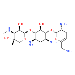 ChemSpider 2D Image | (1S,2S,3R,4S,6R)-4,6-Diamino-3-{[(2S,3R)-3-amino-6-(aminomethyl)-3,4-dihydro-2H-pyran-2-yl]oxy}-2-hydroxycyclohexyl 3-deoxy-4-C-methyl-3-(methylamino)-beta-L-lyxopyranoside | C19H37N5O7