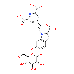 ChemSpider 2D Image | (2S)-4-{(E)-2-[(2S)-2-Carboxy-5-(D-glucopyranosyloxy)-6-hydroxy-2,3-dihydro-1H-indol-1-yl]vinyl}-2,3-dihydro-2,6-pyridinedicarboxylic acid | C24H26N2O13