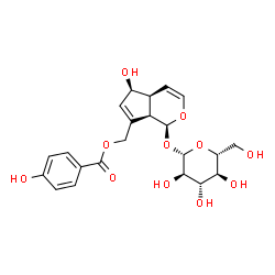 ChemSpider 2D Image | [(1S,4aS,5S,7aR)-5-hydroxy-1-[(2S,3R,4S,5S,6R)-3,4,5-trihydroxy-6-(hydroxymethyl)tetrahydropyran-2-yl]oxy-1,4a,5,7a-tetrahydrocyclopenta[c]pyran-7-yl]methyl 4-hydroxybenzoate | C22H26O11