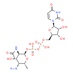 ChemSpider 2D Image | (2R,3R,4S,5R,6R)-3-Acetamido-5-amino-4-hydroxy-6-methyltetrahydro-2H-pyran-2-yl [(2R,3S,4R,5R)-5-(2,4-dioxo-3,4-dihydro-1(2H)-pyrimidinyl)-3,4-dihydroxytetrahydro-2-furanyl]methyl dihydrogen diphospha
te (non-preferred name) | C17H28N4O15P2