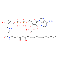 ChemSpider 2D Image | S-{(9R)-1-[(2R,3S,4R,5R)-5-(6-Amino-9H-purin-9-yl)-4-hydroxy-3-(phosphonooxy)tetrahydro-2-furanyl]-3,5,9-trihydroxy-8,8-dimethyl-3,5-dioxido-10,14-dioxo-2,4,6-trioxa-11,15-diaza-3lambda~5~,5lambda~5~-
diphosphaheptadecan-17-yl} (3S,5Z,8Z)-3-hydroxy-5,8-tetradecadienethioate (non-preferred name) | C35H58N7O18P3S