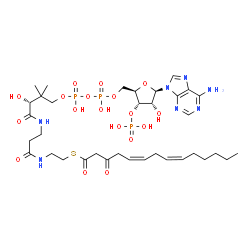 ChemSpider 2D Image | S-{(9R)-1-[(2R,3S,4R,5R)-5-(6-Amino-9H-purin-9-yl)-4-hydroxy-3-(phosphonooxy)tetrahydro-2-furanyl]-3,5,9-trihydroxy-8,8-dimethyl-3,5-dioxido-10,14-dioxo-2,4,6-trioxa-11,15-diaza-3lambda~5~,5lambda~5~-
diphosphaheptadecan-17-yl} (5Z,8Z)-3-oxo-5,8-tetradecadienethioate (non-preferred name) | C35H56N7O18P3S