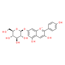 ChemSpider 2D Image | 3,5-Dihydroxy-2-(4-hydroxyphenyl)-7-chromeniumyl beta-D-glucopyranoside | C21H21O10
