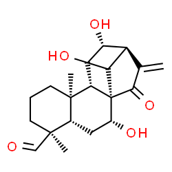 ChemSpider 2D Image | (5beta,7alpha,8alpha,9beta,10alpha,12alpha,13alpha,14S)-7,12,14-Trihydroxy-15-oxokaur-16-en-19-al | C20H28O5