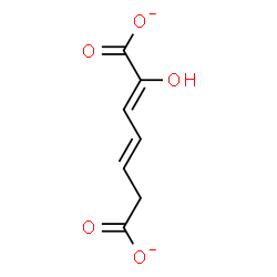 ChemSpider 2D Image | 2-hydroxyhepta-2,4-dienedioate | C7H6O5