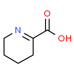 ChemSpider 2D Image | D-1-Piperideine-2-carboxylic acid | C6H9NO2