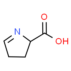 ChemSpider 2D Image | 1-pyrroline-5-carboxylic acid | C5H7NO2