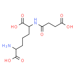ChemSpider 2D Image | 2-Amino-6-[(3-carboxypropanoyl)amino]heptanedioic acid | C11H18N2O7