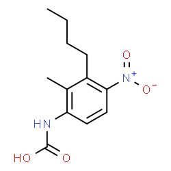 ChemSpider 2D Image | (3-Butyl-2-methyl-4-nitrophenyl)carbamic acid | C12H16N2O4