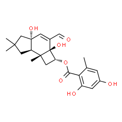 ChemSpider 2D Image | (2R,2aS,4aR,7aR,7bR)-3-Formyl-2a,4a-dihydroxy-6,6,7b-trimethyl-2,2a,4a,5,6,7,7a,7b-octahydro-1H-cyclobuta[e]inden-2-yl 2,4-dihydroxy-6-methylbenzoate | C23H28O7