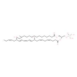 ChemSpider 2D Image | (2R)-1-[(14-Methylhexadecanoyl)oxy]-3-(phosphonooxy)-2-propanyl (4Z,7Z,10R,11E,13Z,15E,17S,19Z)-10,17-dihydroxy-4,7,11,13,15,19-docosahexaenoate | C42H71O10P