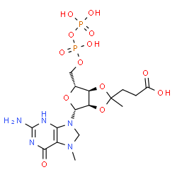 ChemSpider 2D Image | 2',3'-O-(3-Carboxy-1-methylpropylidene)-7-methyl-7,8-dihydroguanosine 5'-(trihydrogen diphosphate) | C16H25N5O13P2