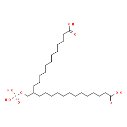 ChemSpider 2D Image | 13-[(Phosphonooxy)methyl]hexacosanedioic acid | C27H53O8P