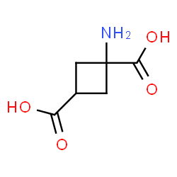 ChemSpider 2D Image | 1-Amino-1,3-cyclobutanedicarboxylic acid | C6H9NO4