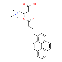 ChemSpider 2D Image | 3-Carboxy-N,N,N-trimethyl-2-{[4-(1-pyrenyl)butanoyl]oxy}-1-propanaminium | C27H30NO4