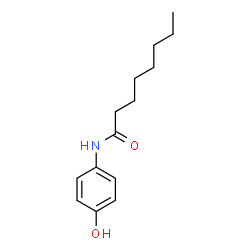 ChemSpider 2D Image | N-(4-Hydroxyphenyl)octanamide | C14H21NO2