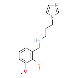 ChemSpider 2D Image | N-(2,3-Dimethoxybenzyl)-3-(1H-imidazol-1-yl)-1-propanamine | C15H21N3O2