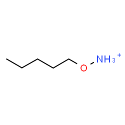ChemSpider 2D Image | (Pentyloxy)ammonium | C5H14NO