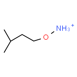 ChemSpider 2D Image | (3-Methylbutoxy)ammonium | C5H14NO