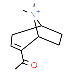 ChemSpider 2D Image | 2-Acetyl-8,8-dimethyl-8-azoniabicyclo[3.2.1]oct-2-ene | C11H18NO