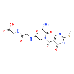 ChemSpider 2D Image | Glycyl-N-{[2-(methylsulfanyl)-6-oxo-1,6-dihydro-5-pyrimidinyl]carbonyl}glycylglycylglycine | C14H18N6O7S