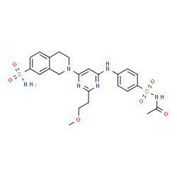 ChemSpider 2D Image | N-[(4-{[2-(2-Methoxyethyl)-6-(7-sulfamoyl-3,4-dihydro-2(1H)-isoquinolinyl)-4-pyrimidinyl]amino}phenyl)sulfonyl]acetamide | C24H28N6O6S2