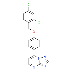 ChemSpider 2D Image | 7-{4-[(2,4-Dichlorobenzyl)oxy]phenyl}[1,2,4]triazolo[1,5-a]pyrimidine | C18H12Cl2N4O